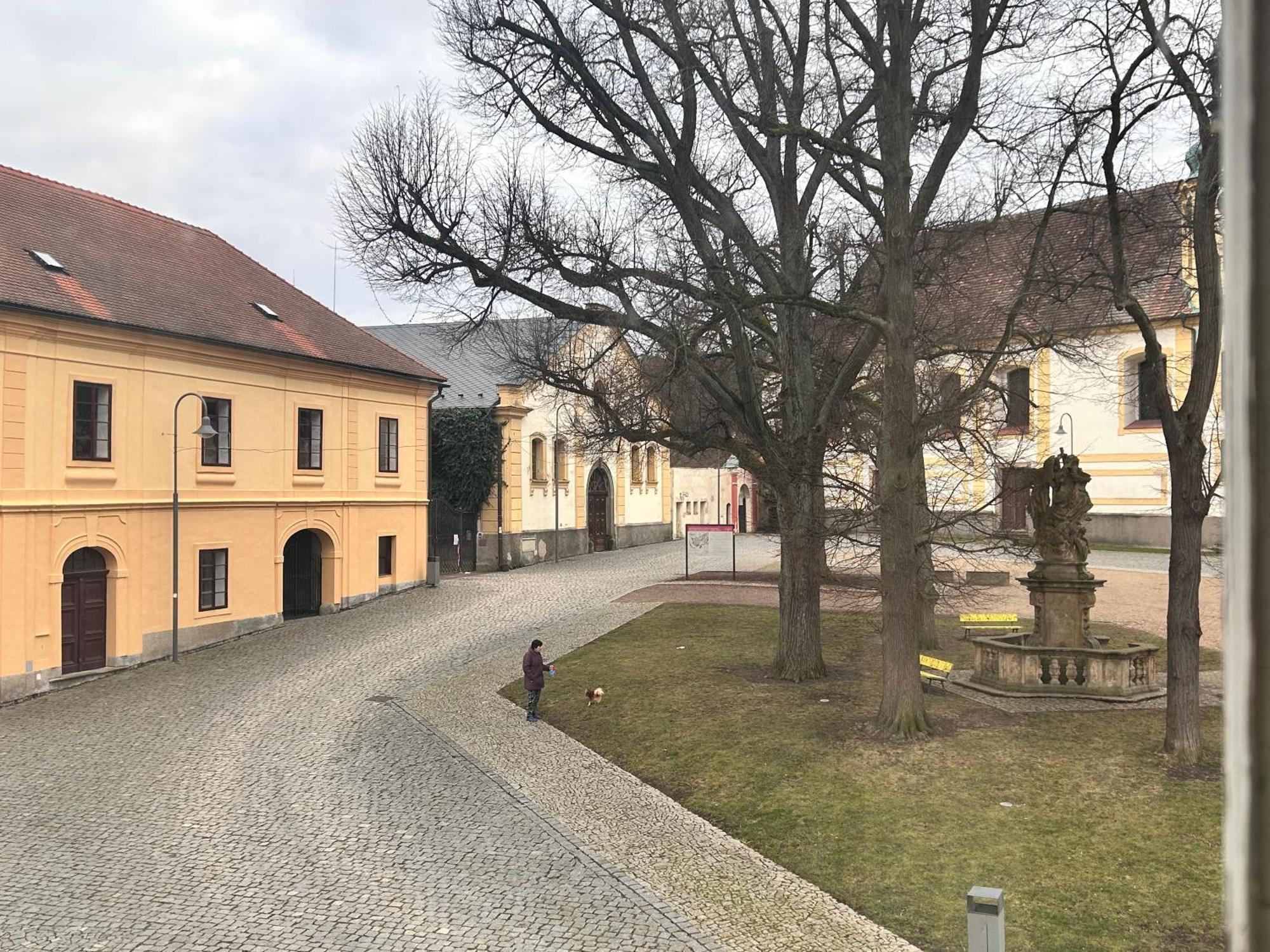 Restaurace A Penzion Podloubi Opočno Eksteriør billede